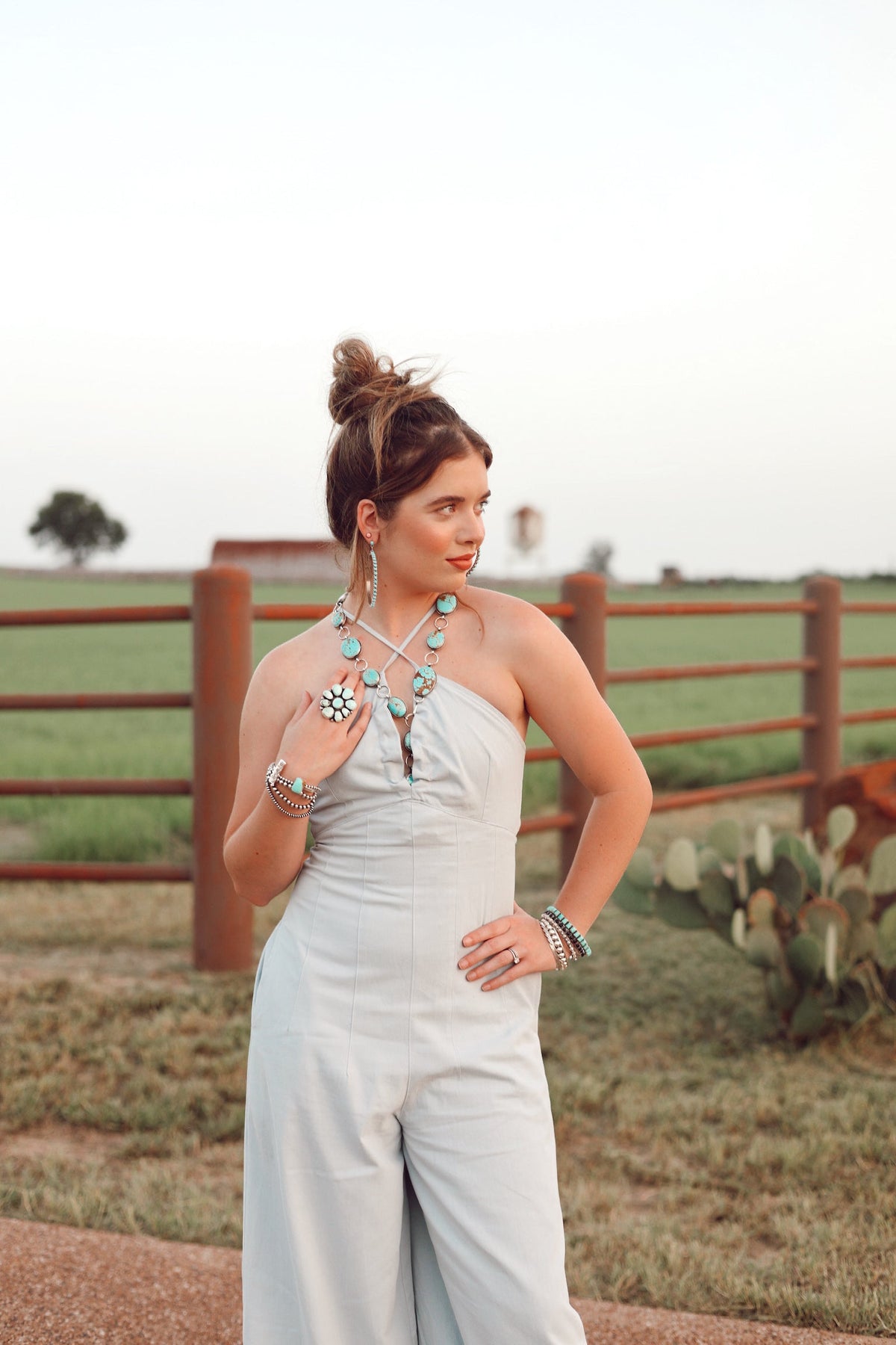  Dumas Denim Jumpsuit