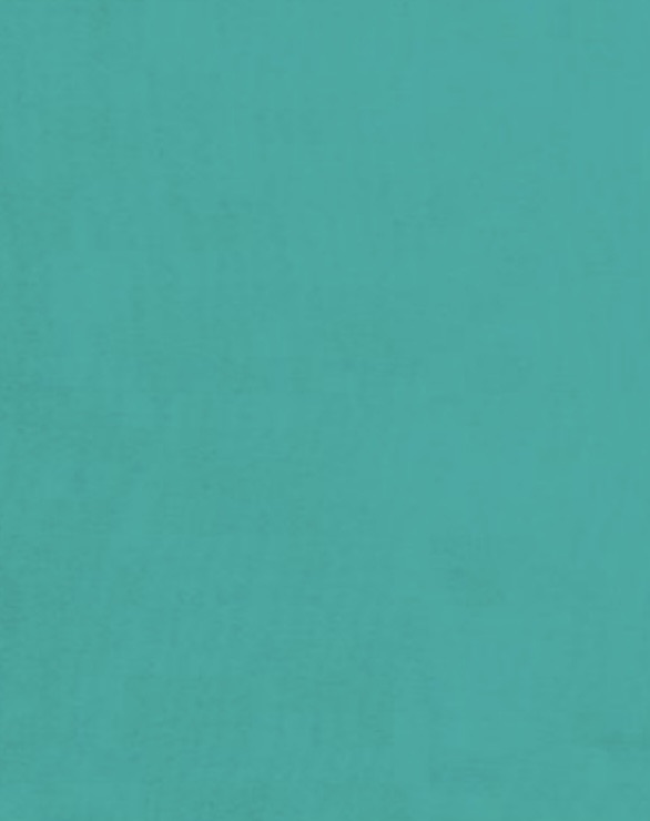  Solid Wild Rag-Aqua