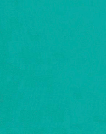  Solid Wild Rag-Aqua